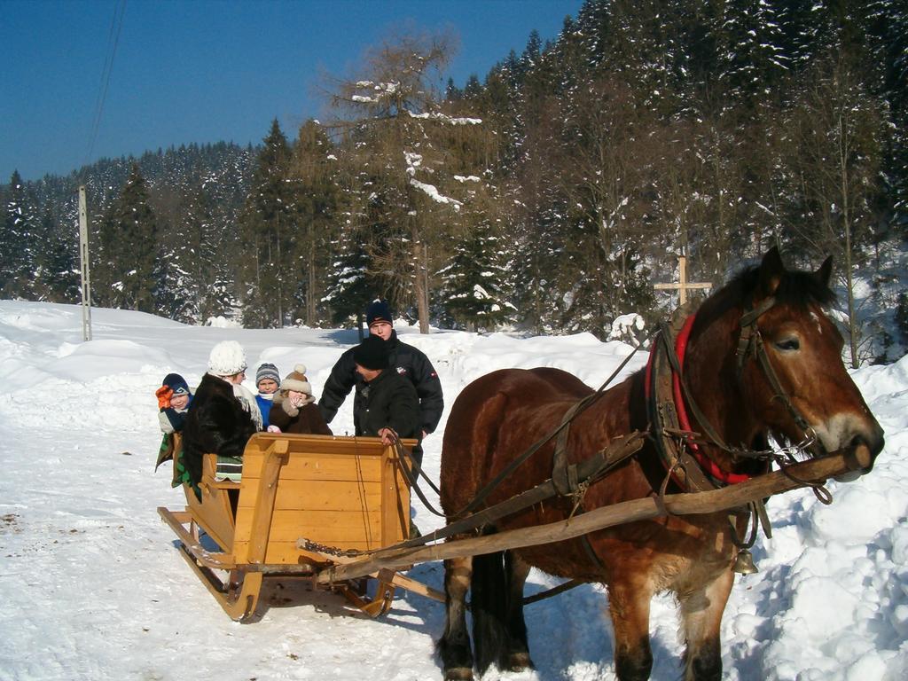 Wypoczynek u Bożeny i Edka Tkaczyków Grywald Exterior foto